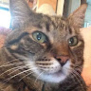 Meet your Posher, Kat